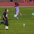 IMG 2278